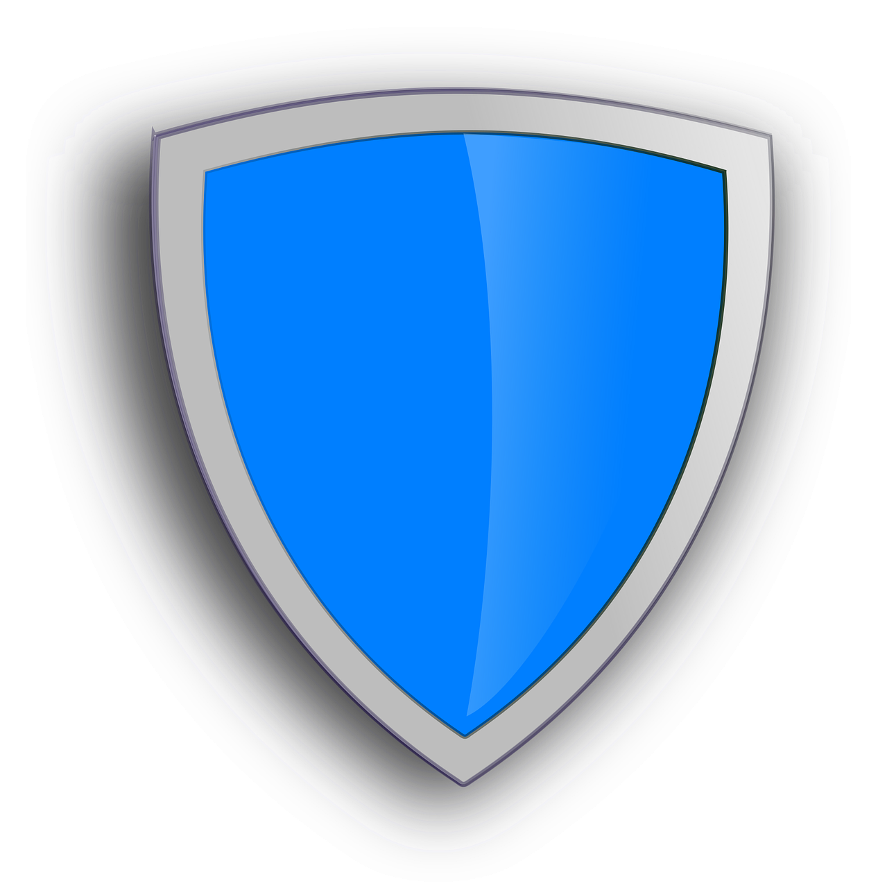 Secure Verification